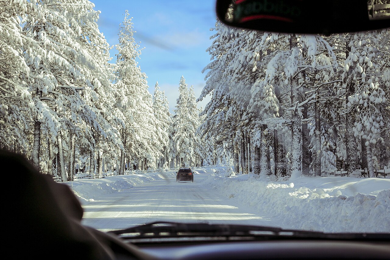 Truckee — Truckee forest road (Unsplash)