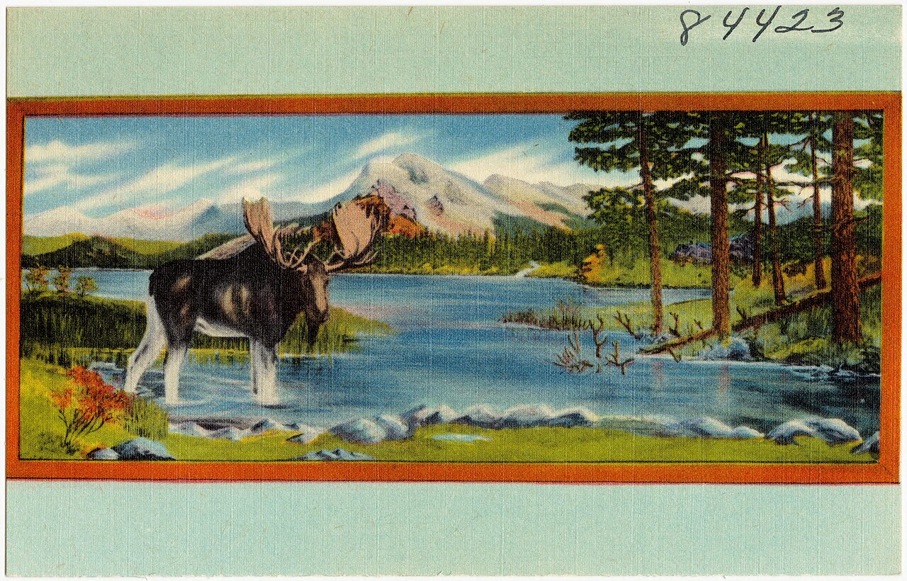 Kalispell — Loyal order of Moose, Kalispell Lodge No. 462, room 9, Adams Block, Kalispell, Montana (84423)