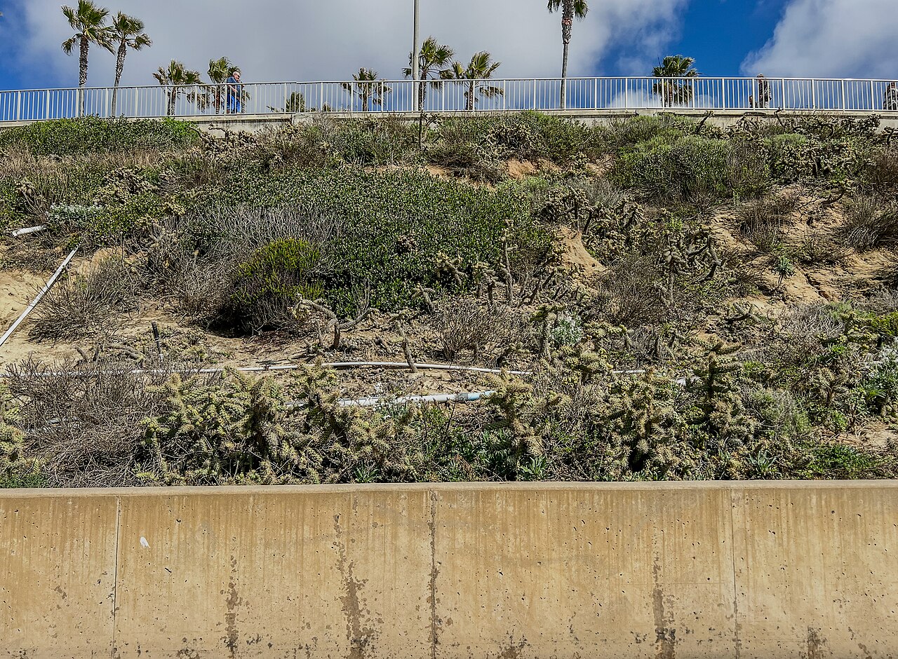Carlsbad &mdash; Erosion Control and Seawall - Carlsbad, California 2