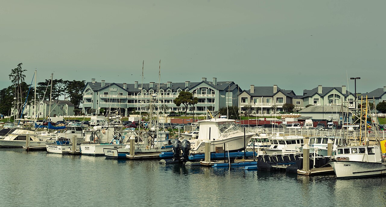 Half Moon Bay &mdash; Half moon bay California (53524393734)