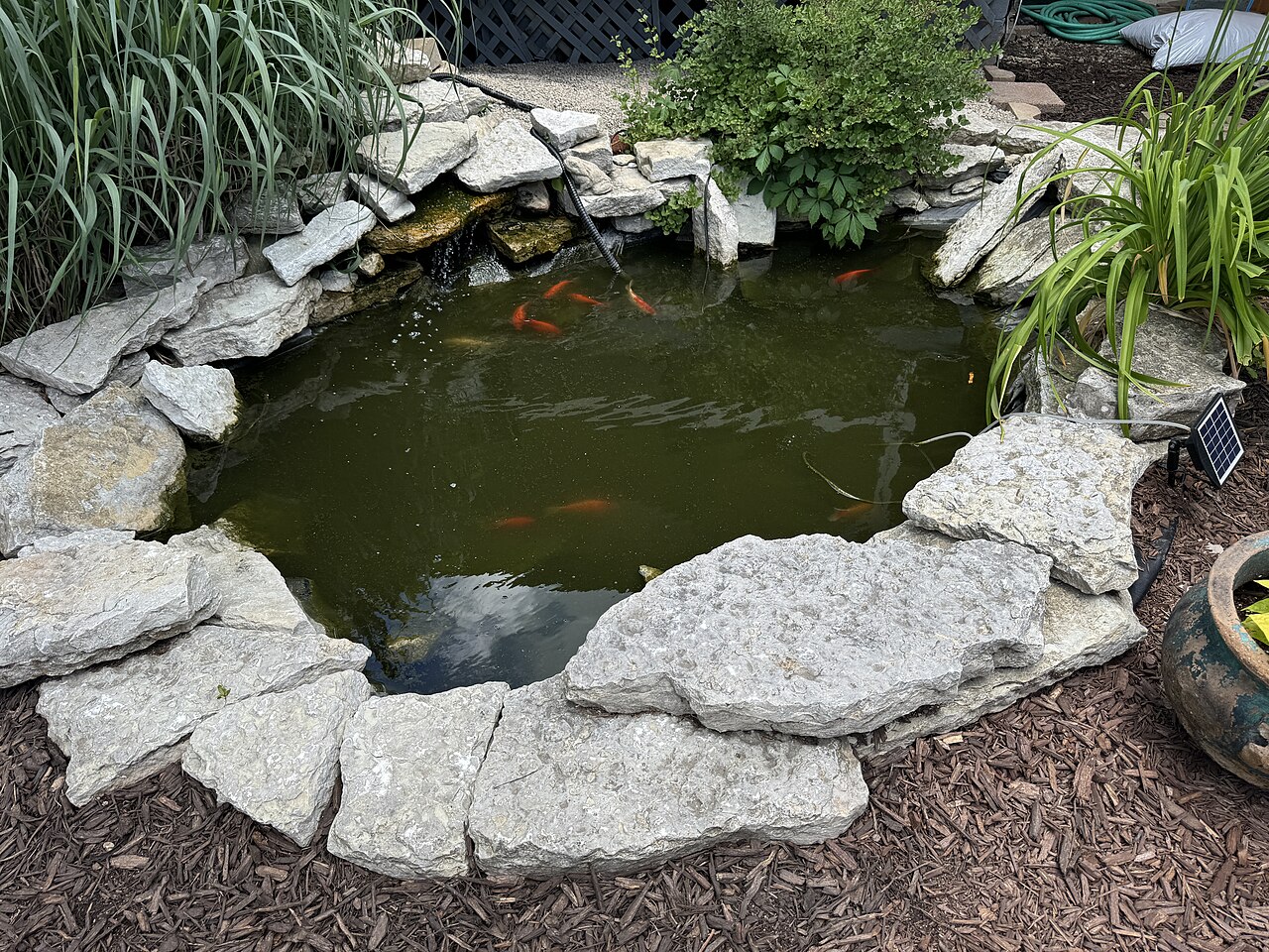 Nashville &mdash; Koi pond in Nashville, Indiana - May 2024 - Sarah Stierch