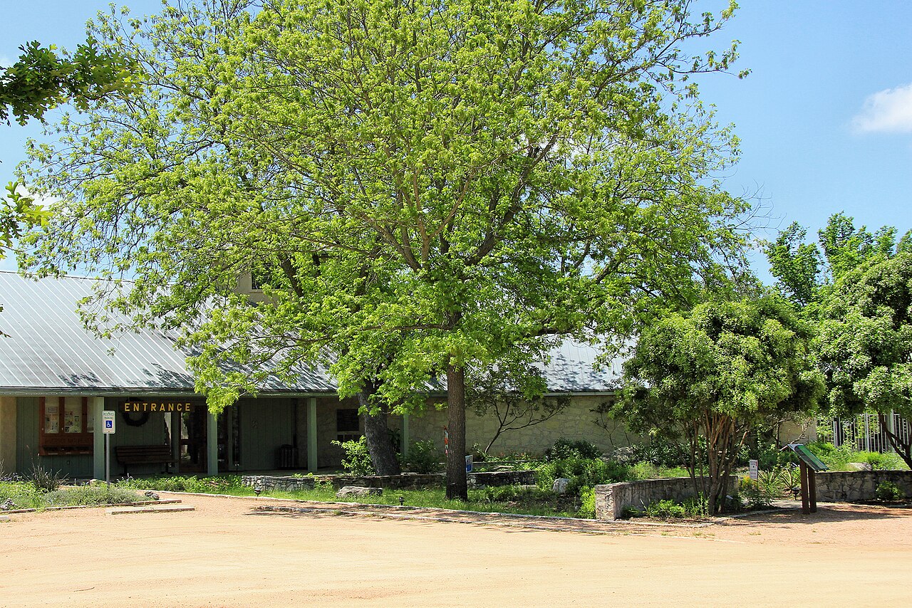 Kerrville — Riverside nature center kerrville tx