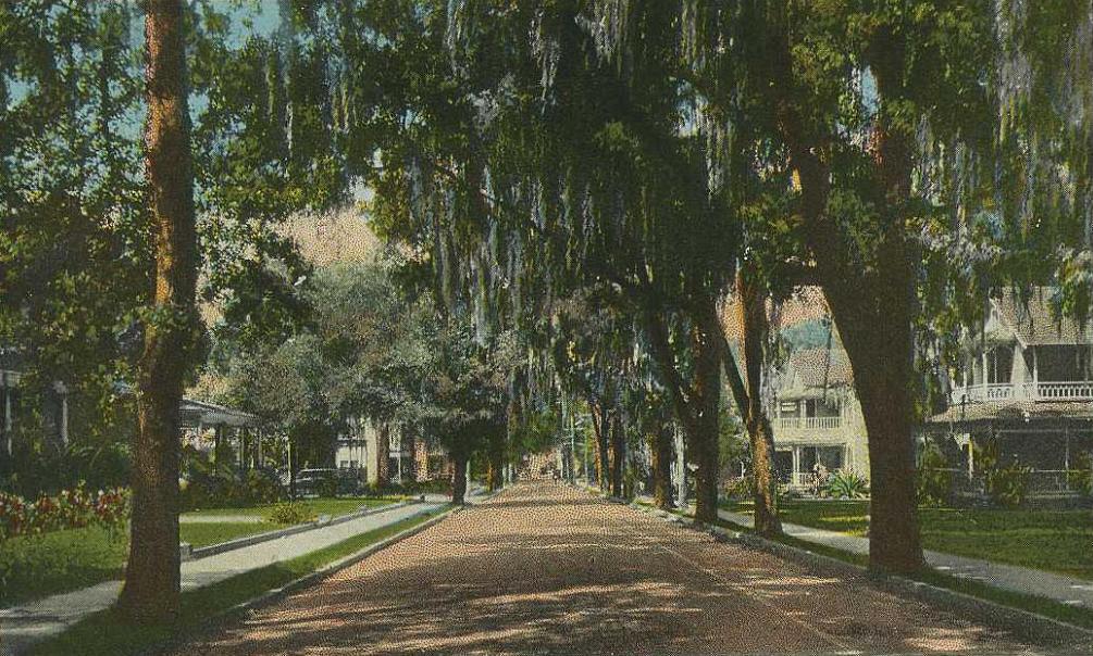 Ocala — Fort King Street, Looking West, Ocala, FL