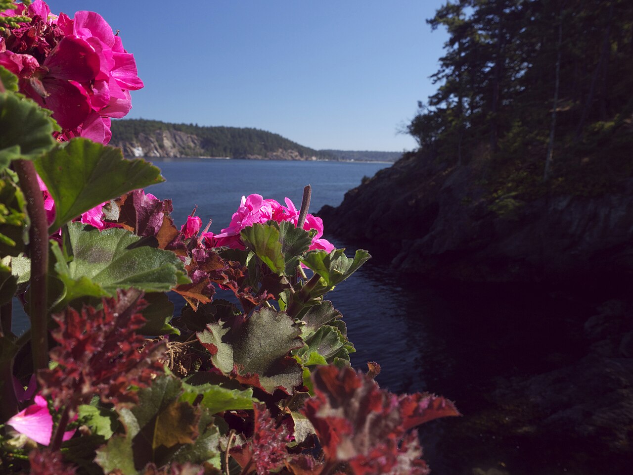 San Juan Islands &mdash; San Juan Islands 01 (6550508095) (2)