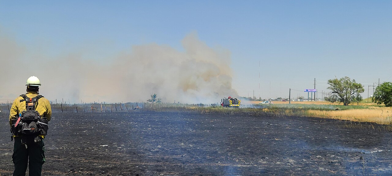 Amarillo — 2020 06 30-Texas A&M Forest Service is responding to the Osage fire with Local Randall County Fire Departments
